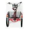 Трёхколёсный велосипед с бензиновым мотором