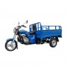 Трёхколёсный грузовой мотоцикл Рейсер «Муравей»