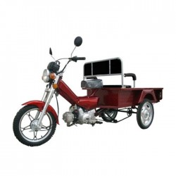 ORION TRICYCLE 100 – грузовой мопед