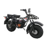 Мотоцикл для бездорожья Скаут 2